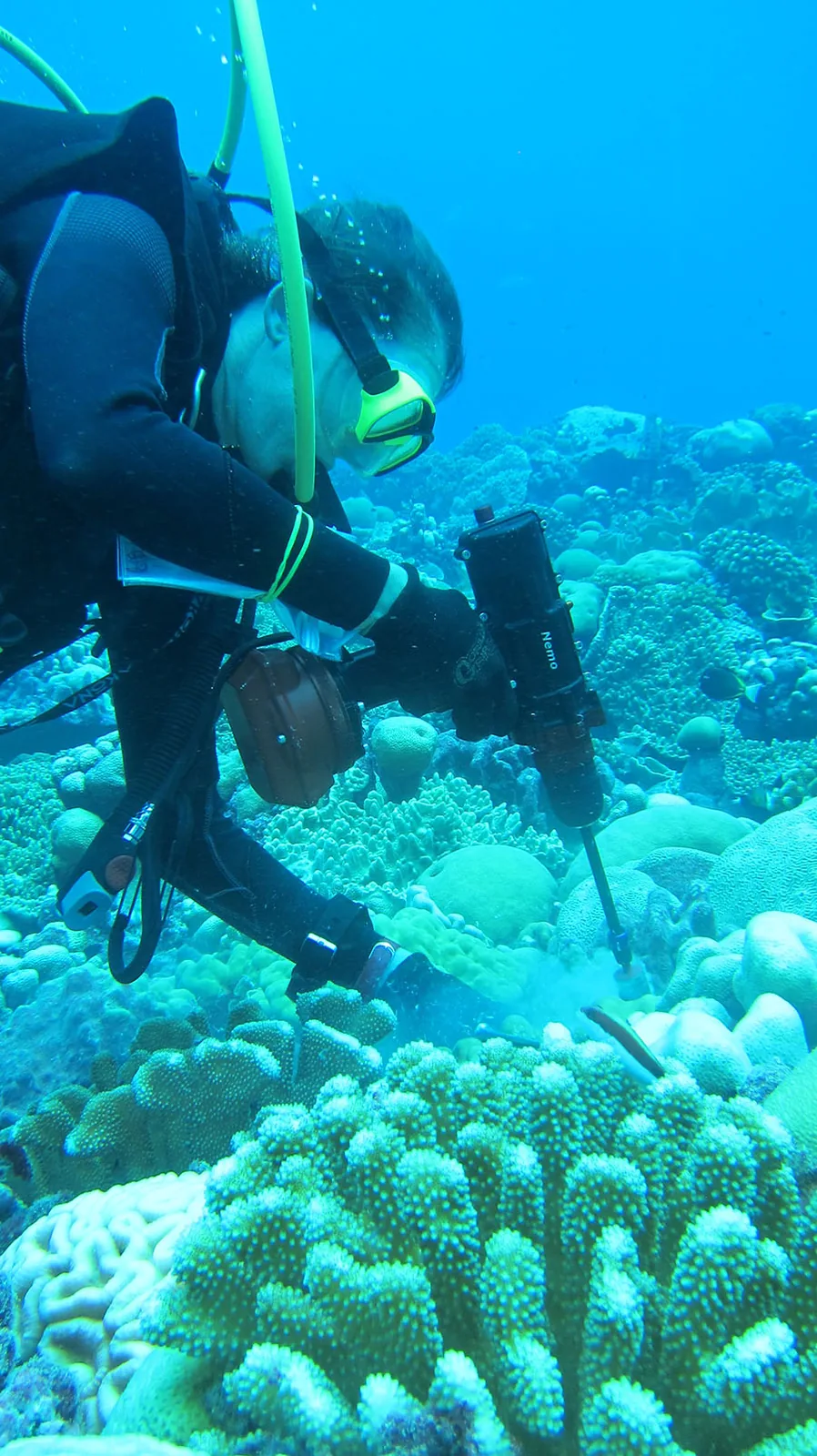 Taucher dokumentiert eine Forschungsanwendung mit einem Nemo Werkzeug